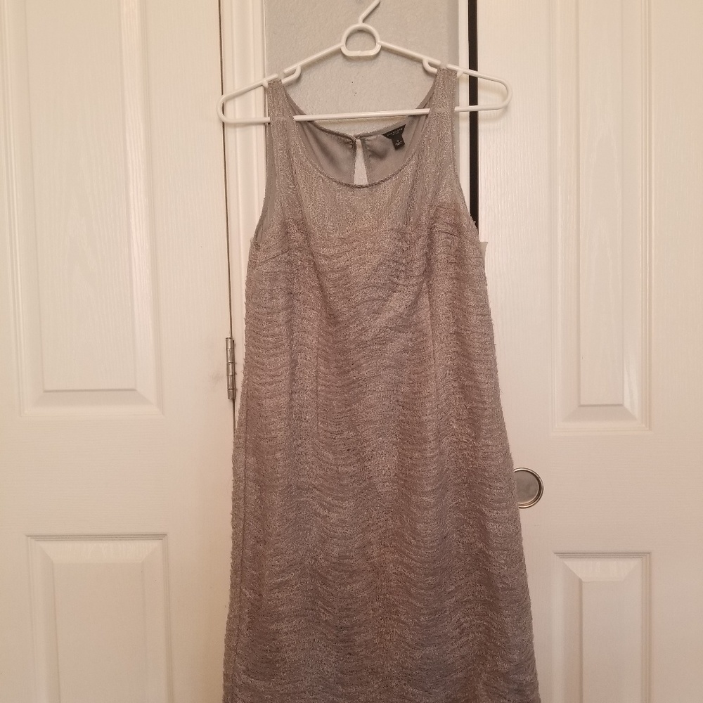 Ann Taylor Silver Dress